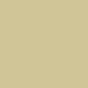 Beige colour